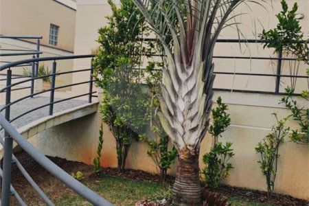 Casa à venda com 2 suítes em Tucuruvi, São Paulo, SP
