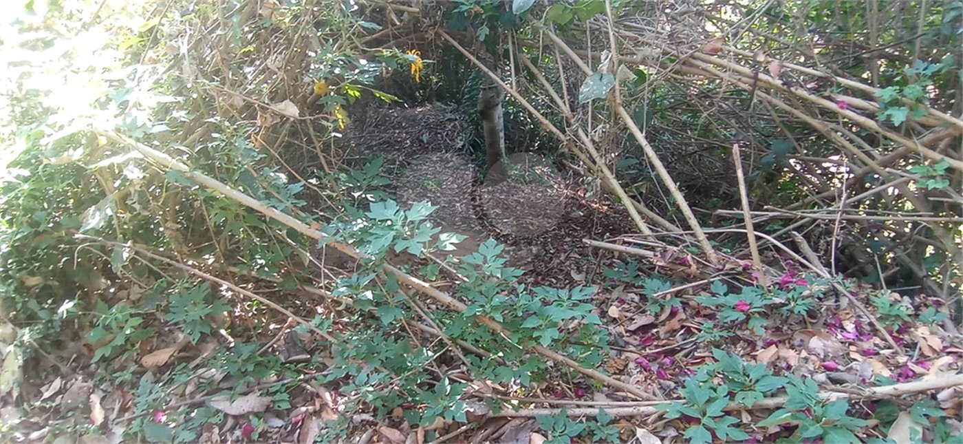 Terreno à venda no condomínio Alpes da Cantareira, Mairiporã - SP