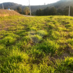Terreno à venda no condomínio Encontro das Águas, Nazaré Paulista - SP