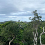 Terreno à venda em Ferradura, Armação dos Búzios, RJ