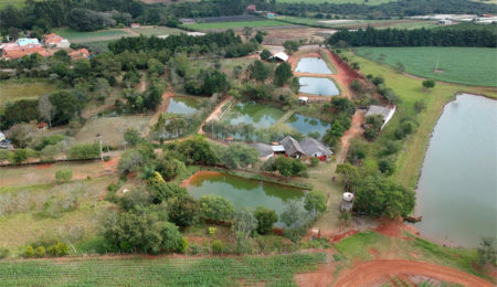 Terreno à venda com 4 quartos no condomínio Recanto dos Passaros, São Miguel Arcanjo - SP