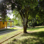 Chácara à venda com 4 suítes em Monte Alegre, Vinhedo, SP