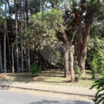 Casa à venda com 4 quartos, sendo 2 suítes, em Jardim Leonor, São Paulo, SP