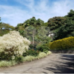 Casa à venda com 4 suítes no condomínio Monte Samkhya, Serra Negra - SP
