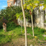 Casa à venda com 5 quartos, sendo 2 suítes,  em Rio Comprido, Rio de Janeiro, RJ