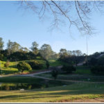 Fazenda Elisa / Atibaia