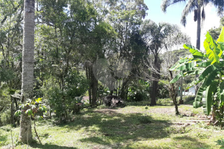 Tapiraí Sp - Sítio Santa Clara - Area de 12,1 ha - composto por casa principal, galpões poço artesiano, ótima área para plantios. Fica localizado a aproximadam. 1 quilômetro da prefeitura. Area preservação permanente- 4,6 ha - Area aproveitável - 4,6 ha - area utilizada rural - 2,5 ha -R$ 750.000,00