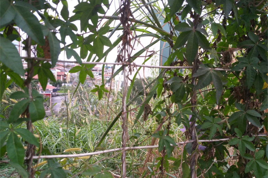 Terreno à venda em Casa Verde, São Paulo, SP