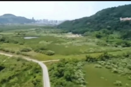 Terreno Comercial à venda, Cing, Guarujá - TE0003.