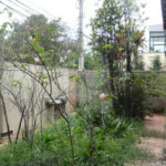 Casa Térrea à venda com 3 quartos em Pinheiros, São Paulo, SP