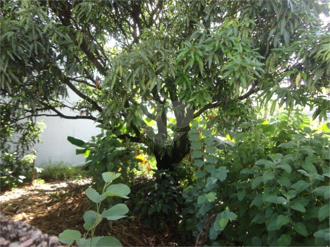 Terreno à venda em Vila São José, Valinhos, SP