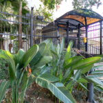 Apartamento à venda com 4 quartos, sendo 2 suítes, em Brooklin, São Paulo, SP