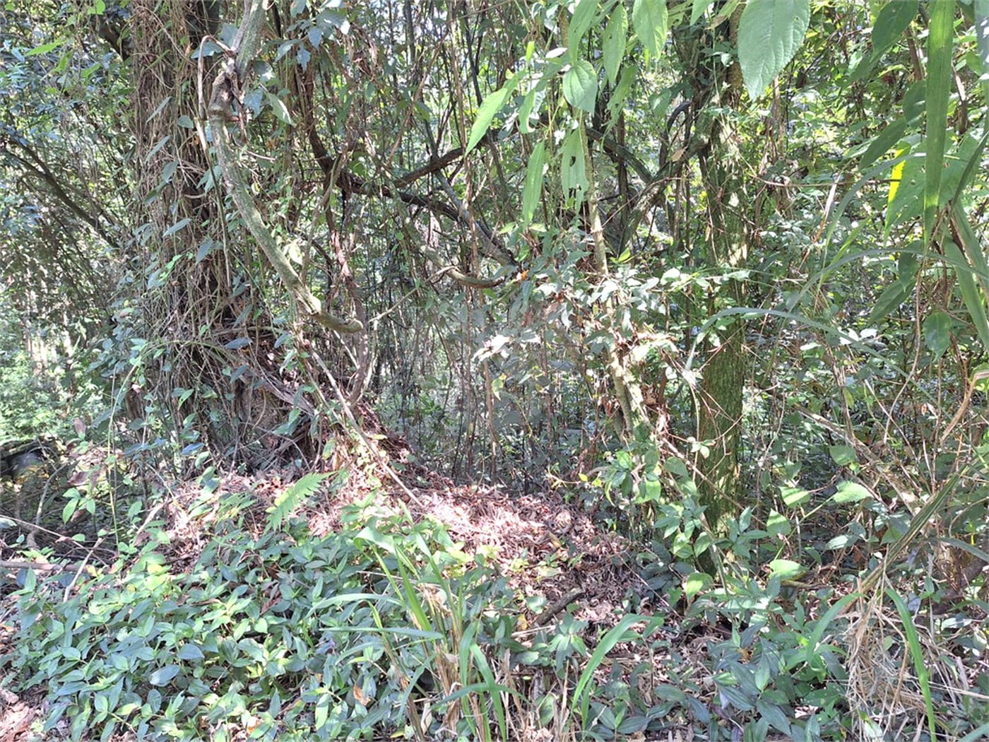 Terreno à venda no condomínio Alpes da Cantareira, Mairiporã - SP