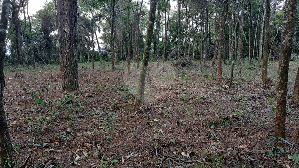 Terreno à venda em Serra da Cantareira, Mairiporã, SP