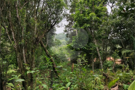Terreno à venda em Vila Moraes, Mogi das Cruzes, SP