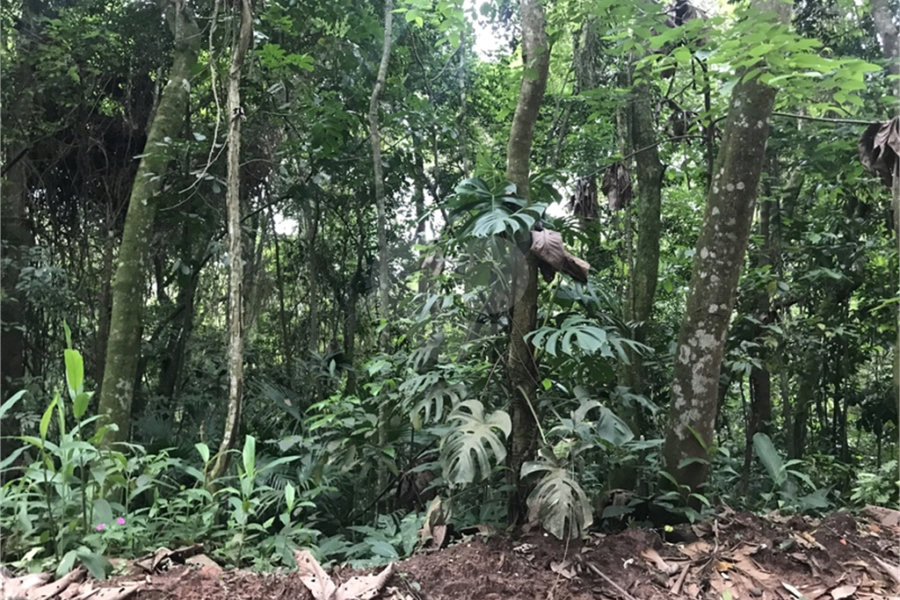Terreno à venda em Serra da Cantareira, Mairiporã, SP