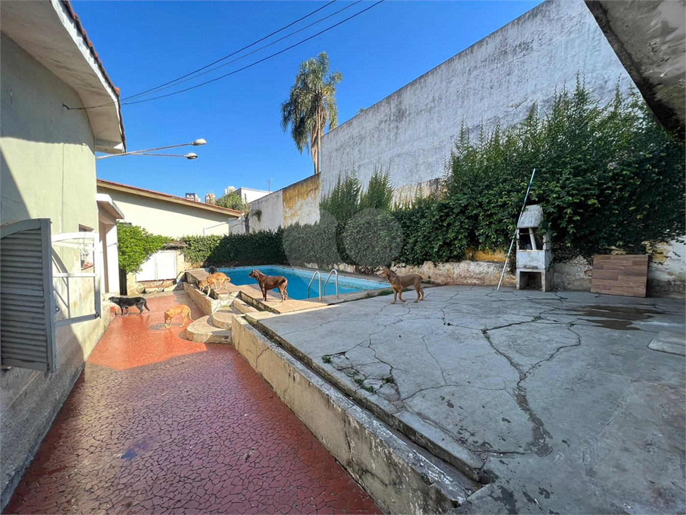 Casa à venda com 4 quartos, sendo 1 suíte,  em Jardim Colombo, São Paulo, SP