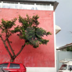Prédio à venda ou para alugar em Saúde, São Paulo, SP