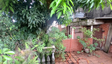 Casa Térrea à venda com 4 quartos, sendo 1 suíte, em Vila Nova Mazzei, São Paulo, SP