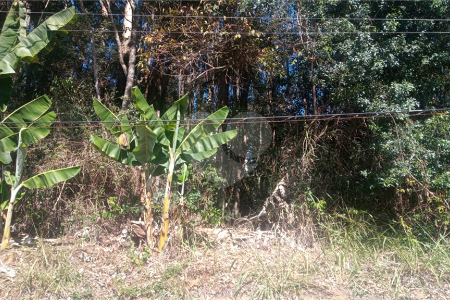Terreno à venda em Serra da Cantareira, Mairiporã, SP