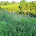 Área de Terra à venda em Três Pistas, Atibaia, SP