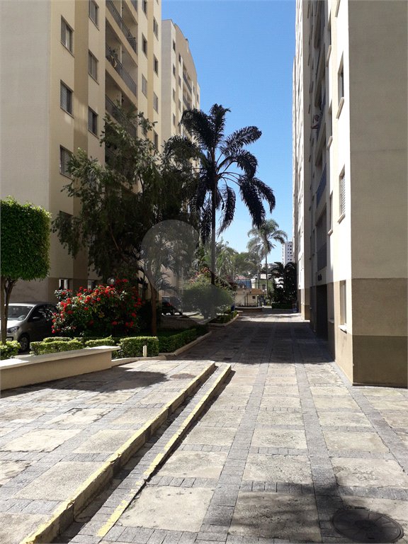 Apartamento à venda com 2 quartos em Vila Guilherme, São Paulo, SP
