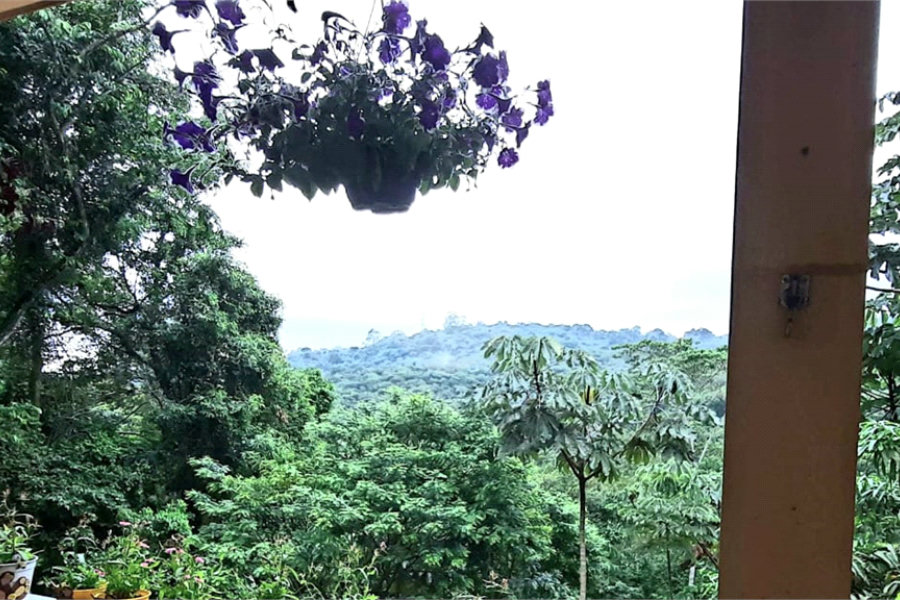 Sobrado à venda com 5 quartos, sendo 2 suítes,  em Serra da Cantareira, Mairiporã, SP