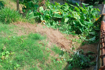 Terreno à venda em Jardim Paulista, Atibaia, SP
