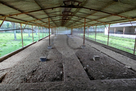 Terreno à venda com 3 suítes em Bazílio, Rio Bonito, RJ