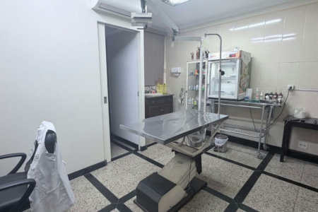 Casa Comercial com 2 dormitórios, 227 m² - venda por R$ 2.000.000 ou aluguel por R$ 9.605 - Vila Belmiro - Santos/SP