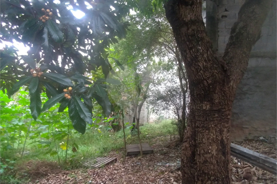 Terreno à venda em Casa Verde, São Paulo, SP