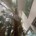 Sobrado à venda com 4 suítes em Jardim Floresta, São Paulo, SP