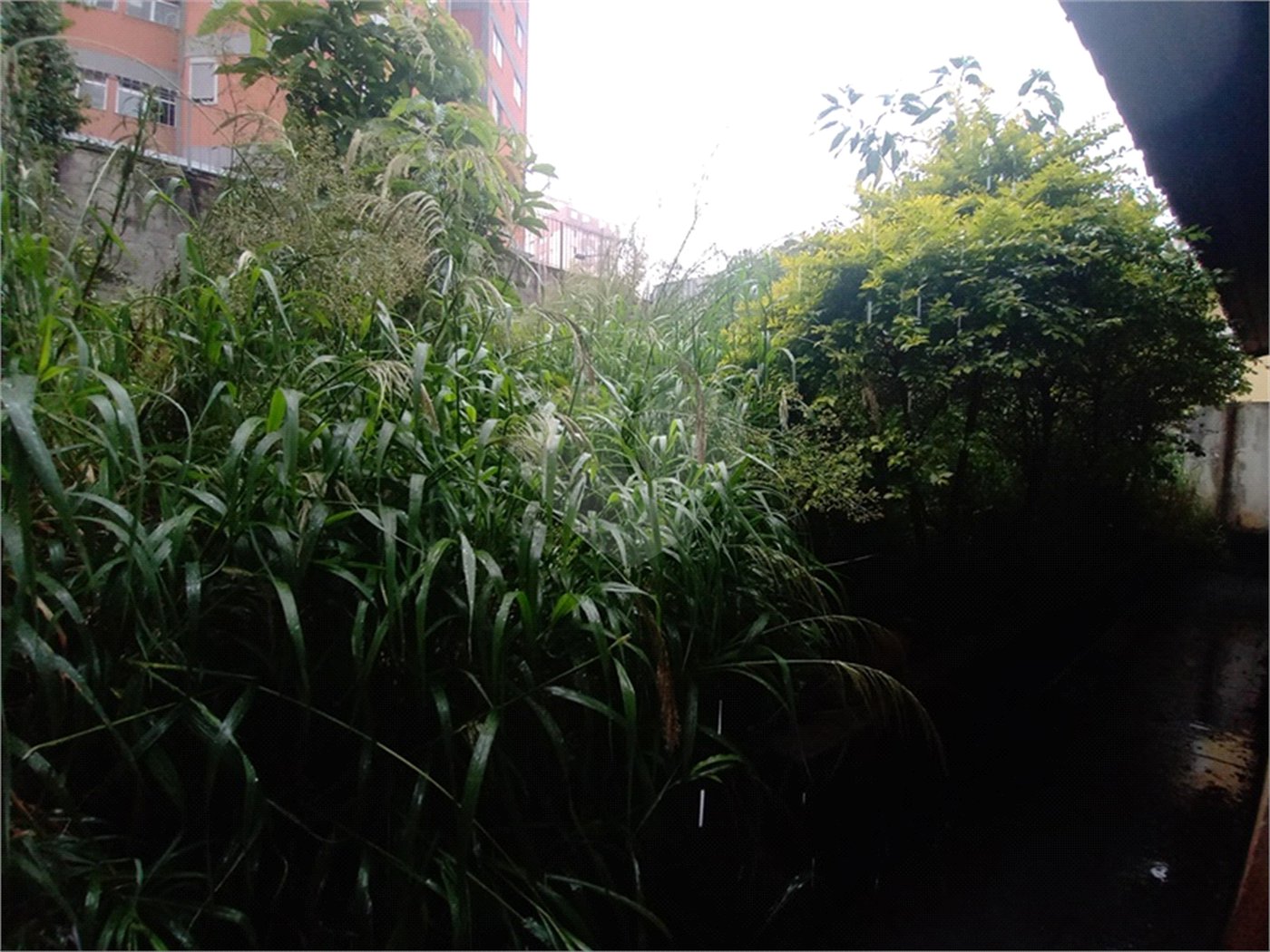 Casa à venda com 4 quartos, sendo 1 suíte, em Tucuruvi, São Paulo, SP