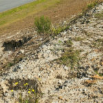 Terreno à venda no condomínio Mirantes de Itupararanga, Piedade - SP