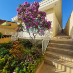 Casa térrea em Pirituba com 30 vagas!!!