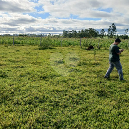 Terreno à venda em Área Rural de Guareí, Guareí, SP