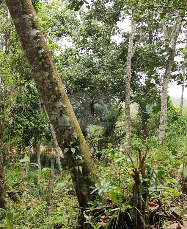 Terreno à venda em Vila Moraes, Mogi das Cruzes, SP