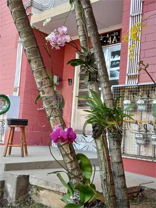 Apartamento à venda com 3 quartos em Barro Branco (zona Norte), São Paulo, SP