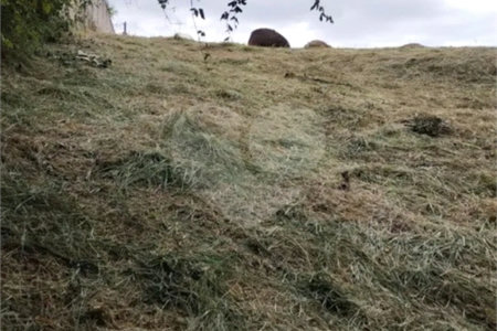 Terreno à venda em Chácara Terra Nova, Jundiaí, SP