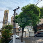 Sobrado à venda com 3 quartos, sendo 1 suíte,  em Jardim São Paulo(zona Norte), São Paulo, SP