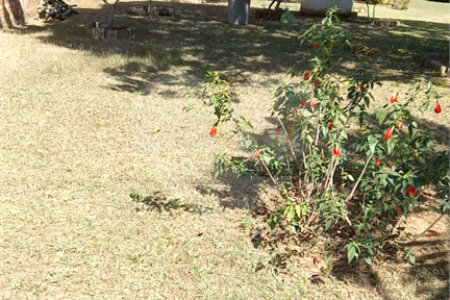 Chácara à venda com 3 quartos, sendo 1 suíte,  em Loteamento Aracê de Santo Antonio I, São Carlos, SP