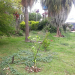 Terreno para alugar em Jardim Rene, São Roque, SP