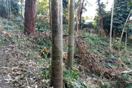 Terreno à venda com 1 suíte em Alto da Boa Vista, São Paulo, SP