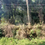 Terreno à venda no condomínio Sausalito, Mairiporã - SP