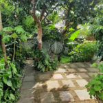 Casa à venda com 4 quartos, sendo 3 suítes, em Vila Carvalho, Sorocaba, SP
