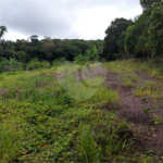 Chácara à venda em Sorocamirim (canguera), São Roque, SP