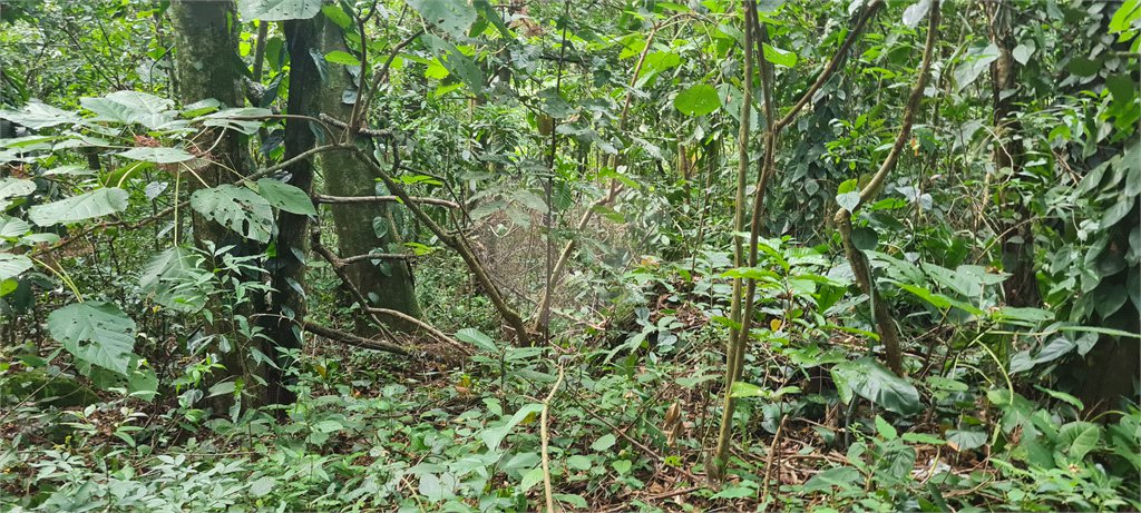 Terreno à venda em Caraguatá, Mairiporã, SP