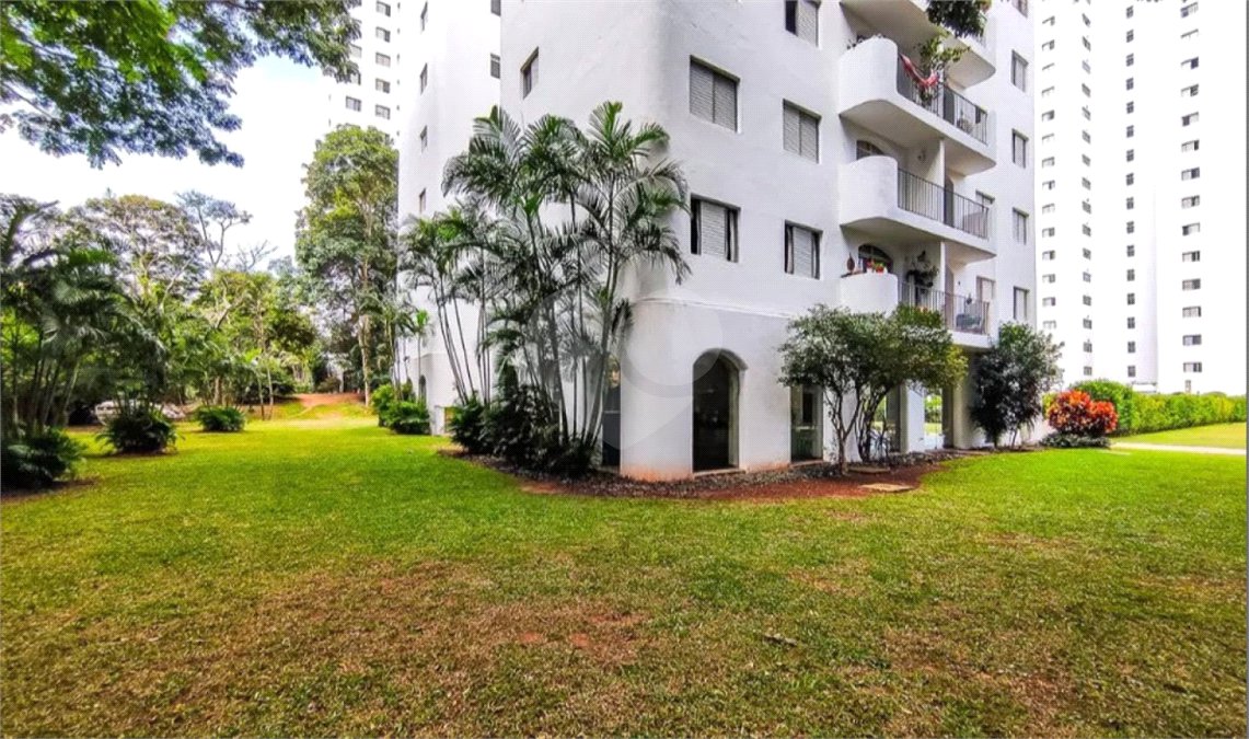 Apartamento para alugar com 3 quartos em Vila Suzana, São Paulo, SP