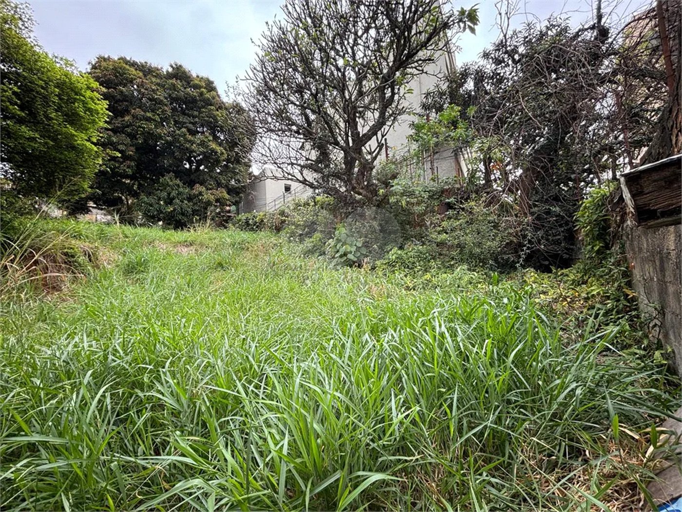 Terreno à venda em Santa Teresinha, São Paulo, SP