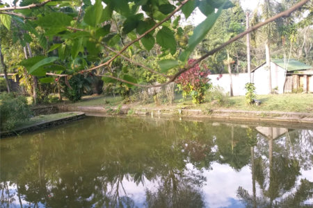 Sítio à venda com 5 quartos, sendo 2 suítes,  em Parque Recreio Dom Pedro Ii (guia de Pacobaíba), Magé, RJ